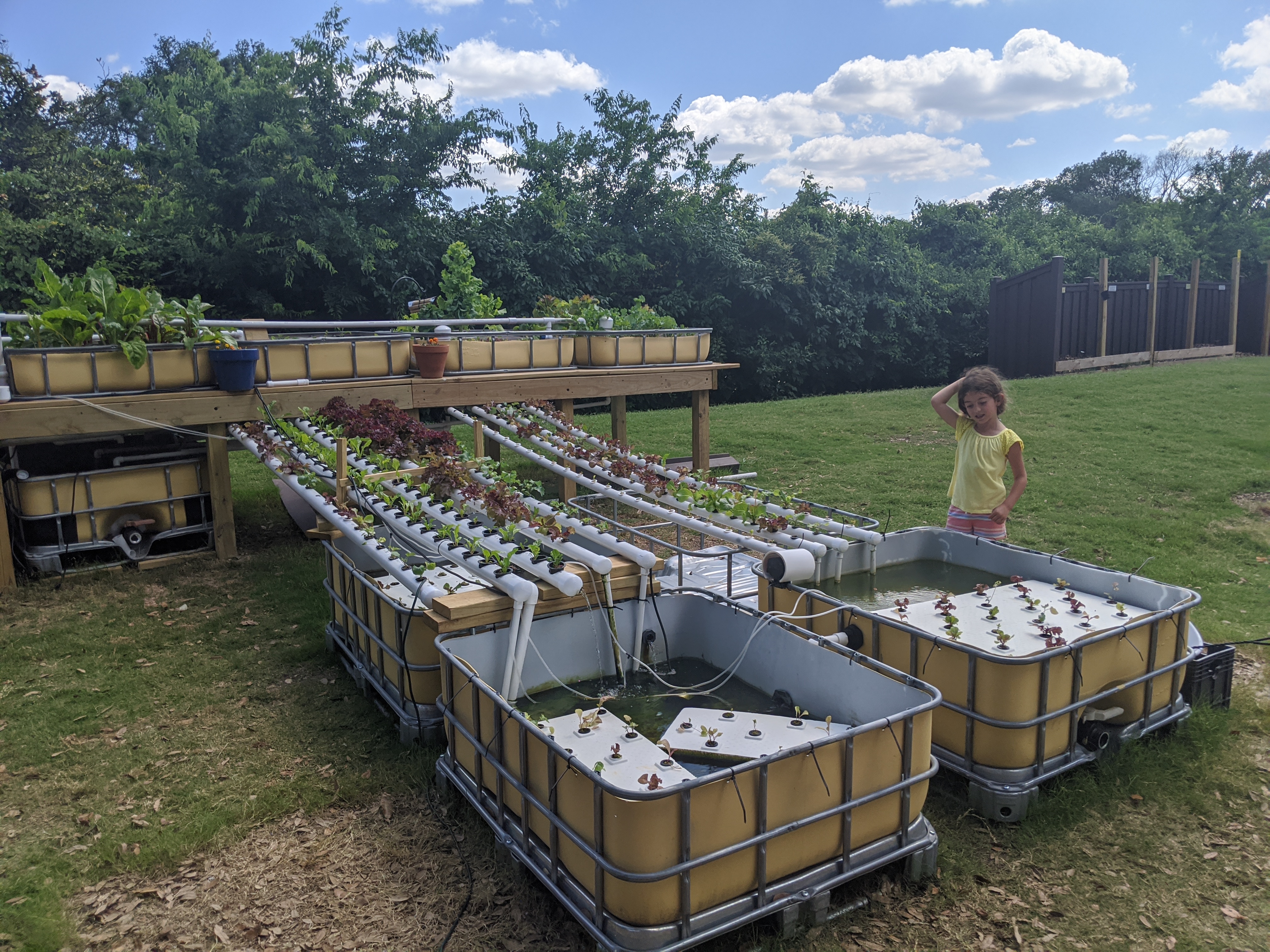 Student constructed aquaponics system I worked with high school students on